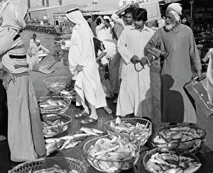 Sharjah: Views of Sharjah City