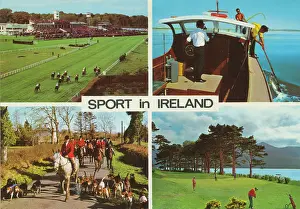 Foxhunt: Four views, Sport in Ireland