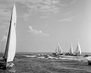 Regatta: Views of Ulyanovsk