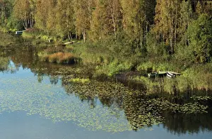 Katkov: Views of Valdai