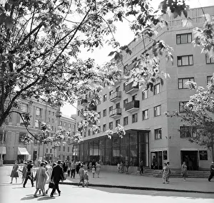 Grocery: Views of Voronezh