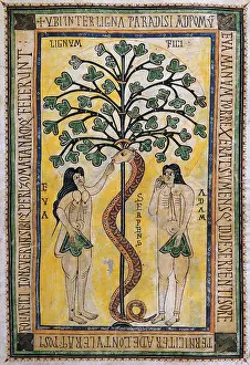 Albelda: Vigilian or Albelda Codex