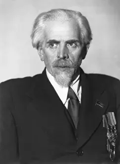 Aleksandrovich: Viktor Vesnin