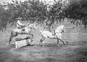 Preussen: Viktoria of Schaumburg-Lippe at show jumping, 1907