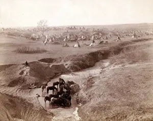Lakota: Villa of Brule. A Lakota Sioux tipi camp ?
