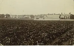 Swinton: The Village