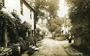 Hams: The Village