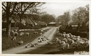 Northumberland: The Village