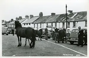Yelverton: The Village