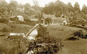 Ferris: The Village