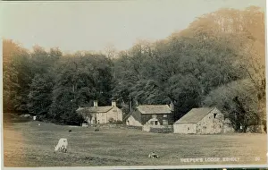 Shipley: The Village