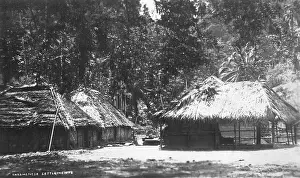 Andaman: Village - Andaman Islands
