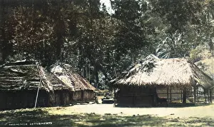 Andaman: Village - Andaman Islands