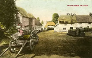 Honiton: The Village, Awliscombe