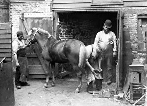 Farrier: A Village Blacksmith early 1900s