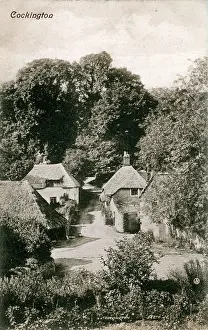 Torbay: The Village, Cockington, Devon