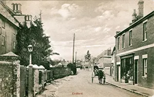 Warminster: The Village, Codford, Wiltshire