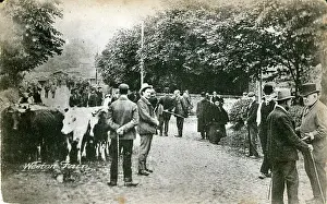 Blackpool: The Village Fair, Weeton, Lancashire