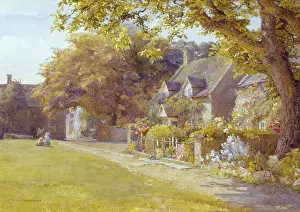 Chadwick: The Village Green
