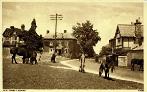Lyndhurst: The Village, Lyndhurst, Hampshire