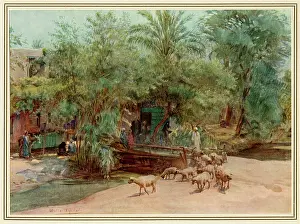 Marg: Village of Marg - Egypt