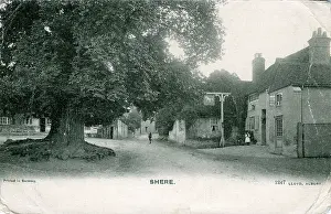 Shere: The Village, Shere, Surrey