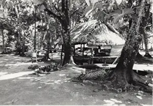 Polynesian: Village in Tuvalu, Gilbert Islands, Pacific