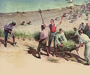 Husbandry: Villagers plant Grass at Provincetown, Cape Cod