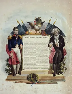 Cock: Villain. Declaration of the Rights