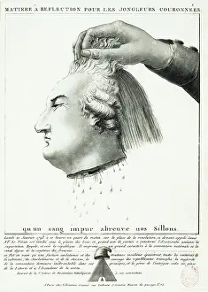 Beheaded: Villeneuve. Matter For Reflection For