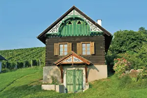 Vineyards: Vine cellar in Eisenberg