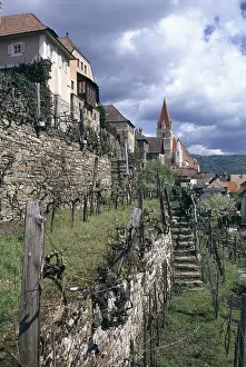 Weissenkirchen: Vineyard in Weissenkirchen