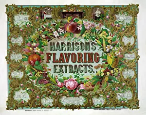 Spice: Vintage advertisement for Harrison's flavoring