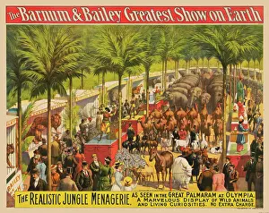Variation: Vintage Barnum & Bailey circus poster - animals