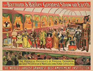 Variation: Vintage Barnum & Bailey circus poster - the Peerless