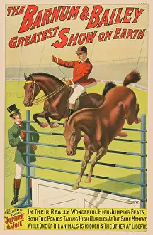 Midair: Vintage Barnum & Bailey circus poster - two ponies