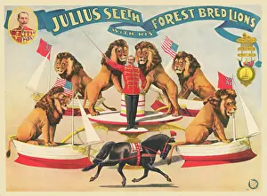 Courage: Vintage circus poster - Julius Seeth with his