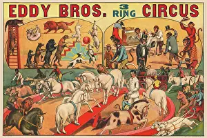 Showman: Vintage Eddy Brothers circus poster
