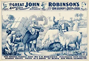 Buying: Vintage John Robinson circus poster - a man purchasing