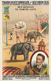 Easel: Vintage P.T. Barnum's circus poster - William