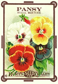 Packets: Vintage seed packet: Pansy