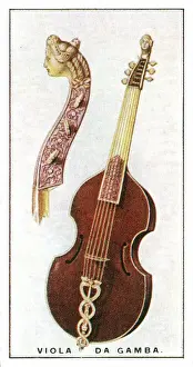 Viol: Viola da Gamba (Leg Viol) - a Bass Viol