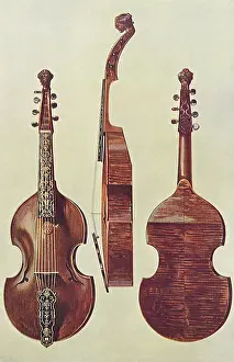 Viola: Viola D'Amore