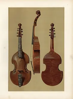 Musicologist: Viola d'amore or the Love Viol