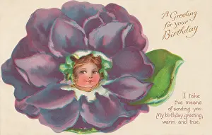 Marcellus: Violet Flower Faces