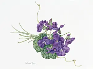 Knot: Violet Posy