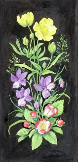 Buttercups: Violets, buttercups and blossom on black background
