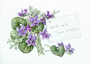 Posy: Violets with greeting ' posy of violets