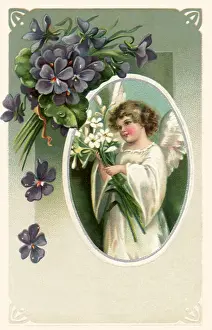 Violets: Violets and Lilies