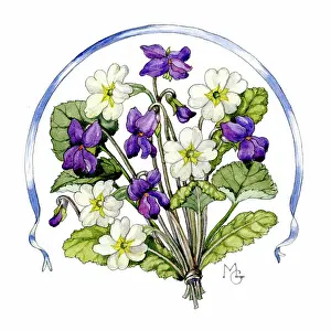 Posy: Violets and primroses